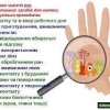 Всесвітній день гігієни рук